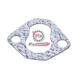 GUARNIZIONE APE POKER BENZINA