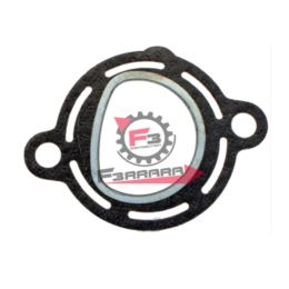 655.288840 GUARNIZIONE SCARICO APE TM - MP