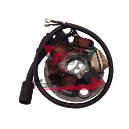 STATORE MAGNETE VOLANO APE 50 FL-RST MIX-TL5T-TL6T-C8000 5 FILI