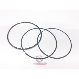 SEGMENTO RASCHIAOLIO PORTER MULTI