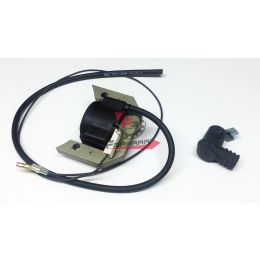 463.60510400 GRUPPO BOBINA + PIPETTA CANDELA