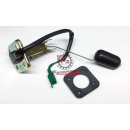 SONDA BENZINA MALAGUTI - F15