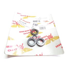 463.61721400 SERIE PARAOLIO MOTORE GRIZZLY