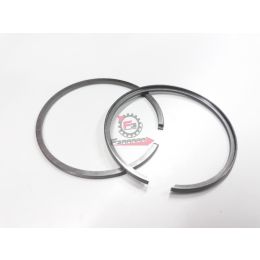 467.SS1102120 SEGMENTI 39,4 X 1AC1,5+1AL2,0 (SR)