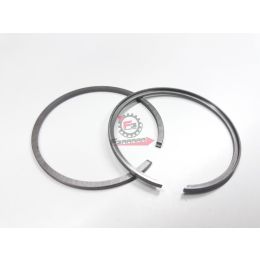 SEGMENTI 39,6 X AC-AL (SR)