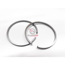 SEGMENTI 48 X 2,5 GR/ESTERNO (SR)