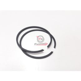 467.SS500015030HP SEGMENTI 50 X 1,5 GR/INTERNO (SR)