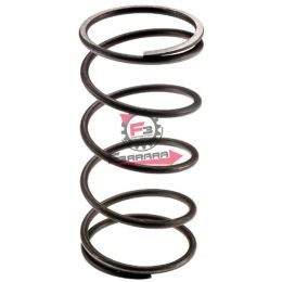 655.478028 MOLLA VARIATORE LIBERTY