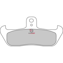 501.FDB499P PASTIGLIE FRENO MOTO FD0113 (SR)