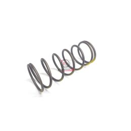 655.875427 MOLLA VARIATORE SRV