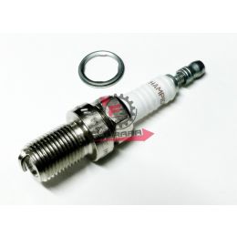 CANDELA C55 CHAMPION