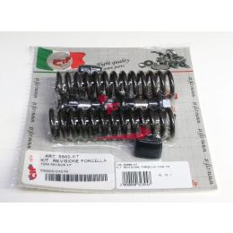 KIT REVISIONE FORCELLA CIAO PX
