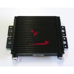 655.245305 RADIATORE APE DIESEL