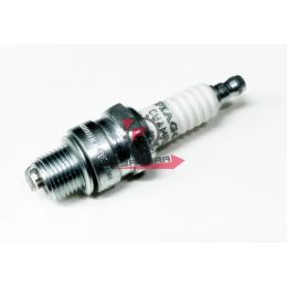 655.438071 CANDELA B6HS=L86C CHAMPION