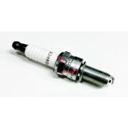 CANDELA RG4HCX CHAMPION (PIAGGIO)