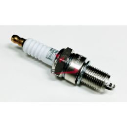 655.438041 CANDELA RN9YC CHAMPION PORTER