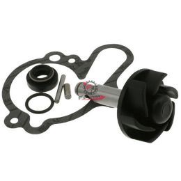554.0058136C KIT REVISIONE POMPA H2O APRILIA