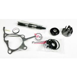 KIT POMPA ACQUA HONDA 250 FORESIGHT