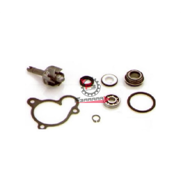 KIT REVISIONE POMPA YAMAHA 250/270