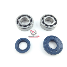 KIT REVISIONE ALBERO MOTORE MALAGUTI MBK YAMAHA APRILIA 50 2T