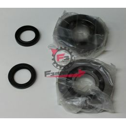 KIT REVISIONE BANCO HEXAGON 125 2T