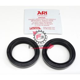 455.ARI124 PARAOLI FORCELLA 40.52,5.4,6/14 (SR)