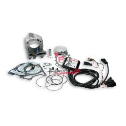 453.3116090 CILINDRO PIAGGIO 75,5 SP15 GTS125 4T