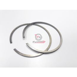 SEGMENTI 57,8 X 1,5 GR/ESTERNO (SR)