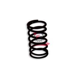 453.2916111B0 MOLLA VARIATORE APRILIA NERA