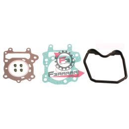 100689221 GUARNIZIONI SCARABEO 150 99/02 (SR)