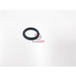 GUARNIZIONE APE TM - MP