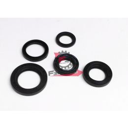 455.10868 PARAOLI MOTORE SI CON VARIATORE (SR)