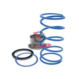 161.243095 MOLLA VARIATORE GILERA GP 800