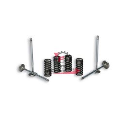 453.2714047 VALVOLE CON MOLLE X TESTA ORIGINALE