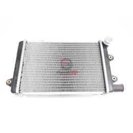 655.605474R RADIATORE APE MP 601 / LCS