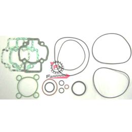 6.P400480700008 GUARNIZIONI MOTORE CON O-RINGS