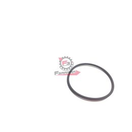 ORING ANELLO DI TENUTA BEVERLY 350