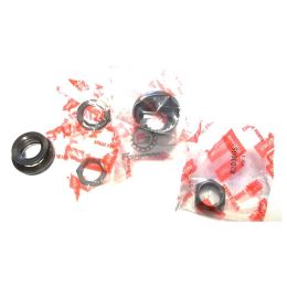 SERIE STERZO SCARABEO 50/100