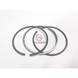 655.L8211263 SERIE SEGMENTI APE MP 601/ TM