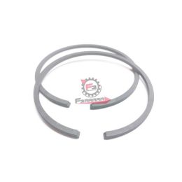 SS0895100 SEGMENTI 69 X 2,5 GR/EST.TM703 (SR)