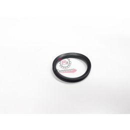 177521 ANELLO DI TENUTA ZIP SP