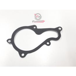 880727 GUARNIZIONE COP.POMPA H2O MP3 350