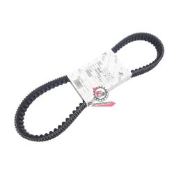 1A011456 CINGHIA BEVERLY 125/SPORT CITY 125