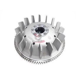 642204 ROTORE COMPLETO APE 50