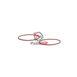 DUE O-RING D. 39X1,5 MM PER CORRETTORE DI COPPIA MALOSSI
