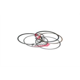 SEGMENTI 60,0X1,0 MALOSSI