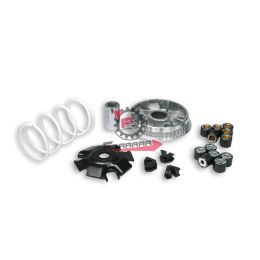 VARIATORE PIAGGIO ET4 MOTORE LEADER 125 MALOSSI
