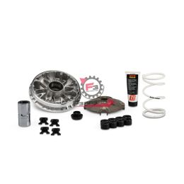 VARIATORE HONDA SH 350 4T 21> NF11E FORZA 350 21> MALOSSI