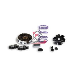 VARIATORE PIAGGIO GILERA 50 RULLI 16X13 GR.4,1 + 4,7 MALOSSI