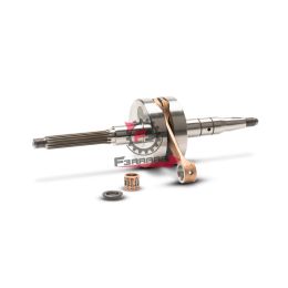 ALBERO MOTORE RHQ SP.10 CORSA 39,2 MALOSSI